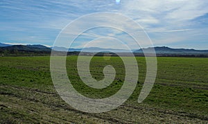 Green Pasture on a Farm, Hemet, Riverside, California photo