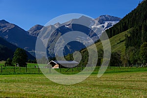 Green pasture landscape in front of a great mountain panorama on the GroÃŸglockner