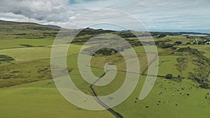 Green pastures, fields at pine forest aerial. Nobody nature landscape. Countryside farmland fields