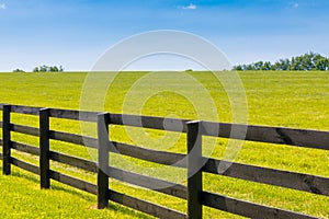 Green pastures of horse farms.