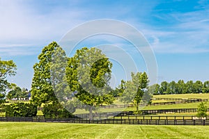 Green pastures of horse farms.