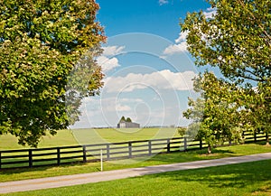 Green pastures of horse farms