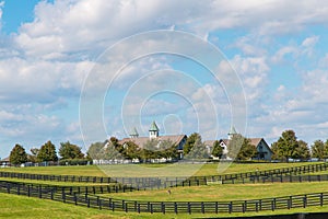 Green pastures of horse farms. Country landscape photo