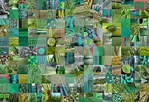 GREEN patchwork photomontage background
