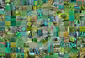 GREEN patchwork photomontage background photo