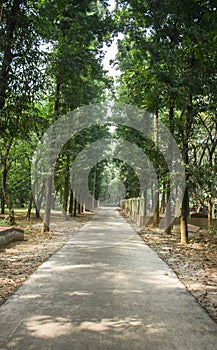 Green path of Bangladesh