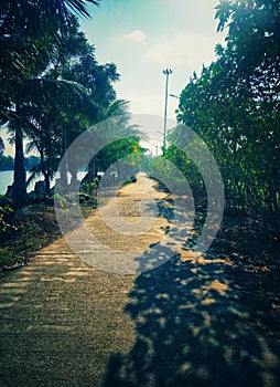 Green path nature lovers rajnandgaon city triveni parisar road photo