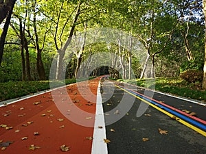 The green path in the park