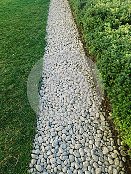 Green path with pebbles