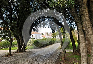 The green path with the village in the background photo