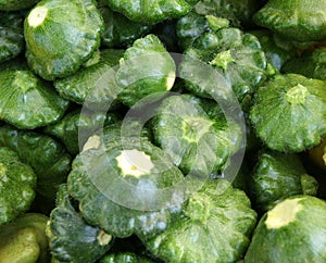 Green patty pan squash, Cucurbita pepo