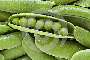 Green Pea photo