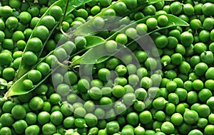 Green pea