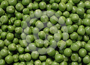 Green pea photo