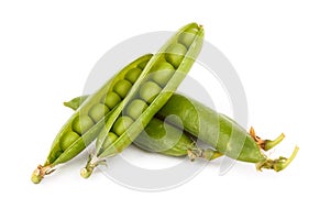 Green pea