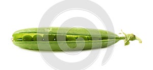 Green pea bean isolated