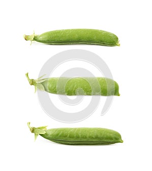 Green pea bean isolated