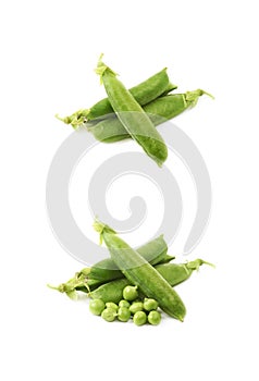 Green pea bean isolated