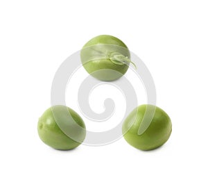 Green pea bean isolated