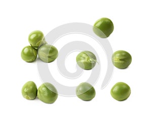 Green pea bean isolated