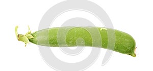 Green pea bean isolated