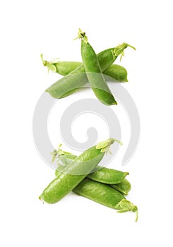 Green pea bean isolated