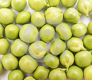 Green pea