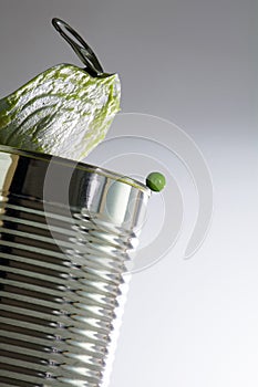 Green pea leaves the can, concept for fresh food instead of canned goods, selected focus