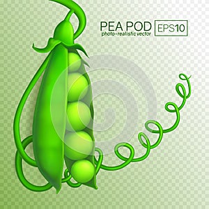 Green pea pod isolated on transparent background.