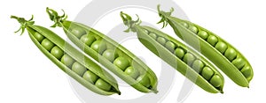 Green pea pod together set isolated on white background