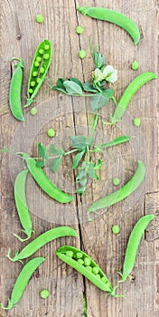 Green pea pods, branches with flowers and leaves on wooden surface