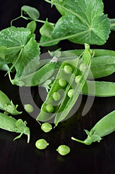 Green pea pods