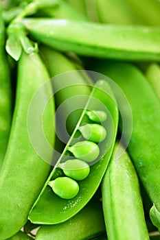 Green pea pods