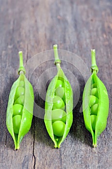 Green pea pods