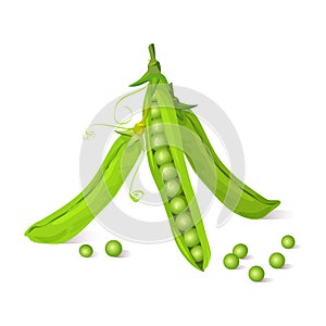 Green pea pods photo