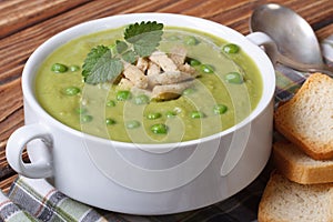 Green pea soup with croutons and mint horizontal