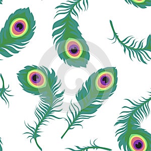 Green peacock feathers on white, seamless pattern, cartoon vector