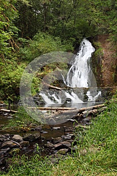 Green Peak falls located near Alsea, Oregon