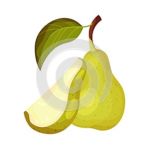 Green Pear with Cut out Segment Showing Sweet Flesh Vector Illustration