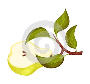 Green Pear with Cut out Segment Showing Sweet Flesh Vector Illustration