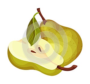 Green Pear with Cut out Segment Showing Sweet Flesh Vector Illustration