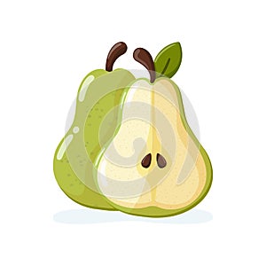 Green pear and half of pear. Fruit illustration