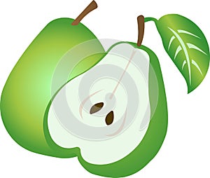 Green pear illustration isolated on white background.