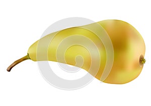 Green pear isolated on a white background