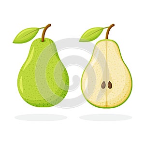 Green pear isolated on white background. Vector illustration. Cut green pear