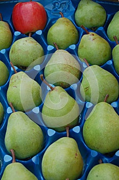 Green pears