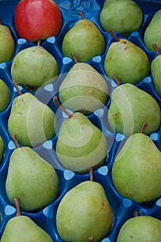 Green pears