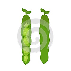 Green peas or bean on white background vector illustration