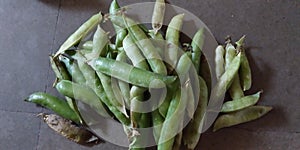 GREEN PEAS BEANS
