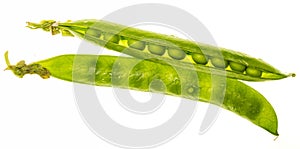 Green peas chÃ­charos, petipuas, tender and very fresh with drops of water.